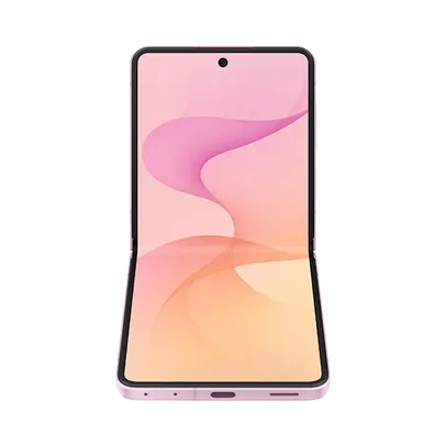 iPhone 17 Pro Back