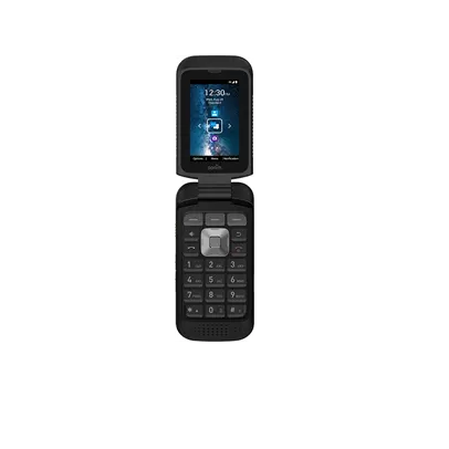 iPhone Back